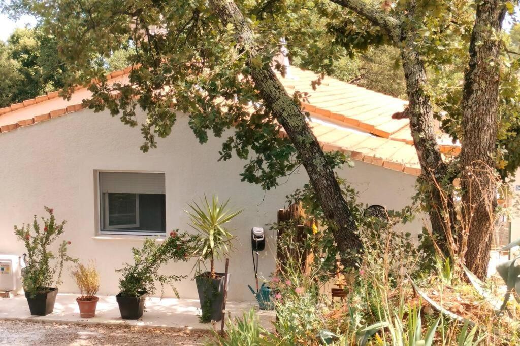 La Madoca Apartamento Flayosc Exterior foto